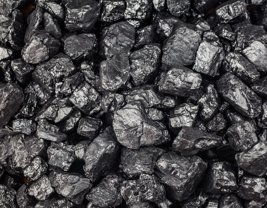 Bio coal