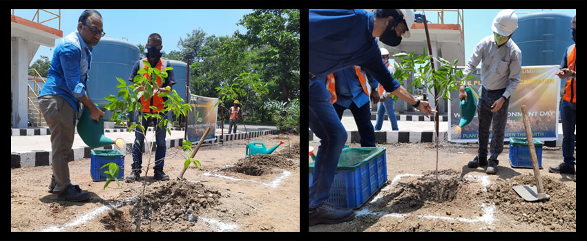 Glimpse of the plantation drive in Jajpur - Jindal Stainless