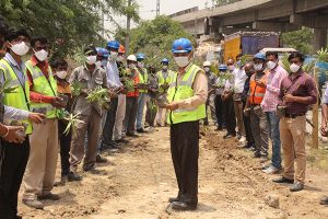 Plantation drive in the old staff colony in Hisar - Jindal Stainless